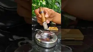Review Cigar - Fuego 777 Zero Robusto #mbpthailand #ซิก้าร์ #cigarette #review #coffee