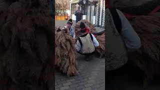 Banda Broscauți la Cocorăni 2025
