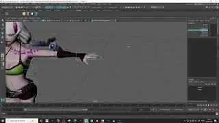 Rigging Project