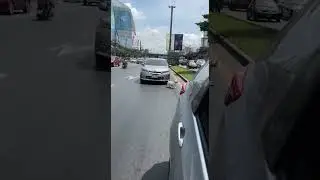 OMG! Where did he escape from? 😱 #pets #dog #หมา #เดินทาง #ปลอดภัย