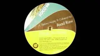 Asad Rizvi  -  Slippery Heights
