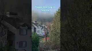 Foggy morning in Seattle #shorts #trending #usa
