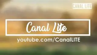 Dread Pitt - Reckless (ft. C.) (Free Copyright Music | Lyrics) // Canal LITE 2.0 //