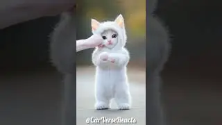 Cute cat video #trending #music #cover #cats #ai #aianimatedvideo