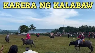 Karera ng Kalabaw  | Mayohan sa Tayabas | Raiden Cabile