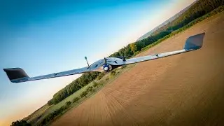 AR Wing x 2