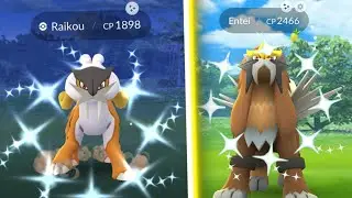 ✨GEN 2 BEAST RAID HOUR IN POKEMON GO! NEED Shiny Raikou & Entei! #pokemongo