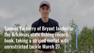 Arkansan sports record-breaking mullet