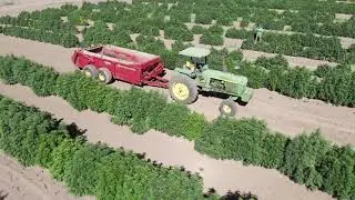 Industrial hemp farm / soil mixing container filling service / quality Cbd flower / micro greens