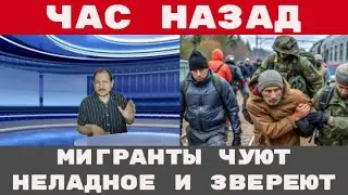 ОЖЕСТОЧЕННАЯ СХВАТКА С МИГРАНТАМИ полиция требуется усиление