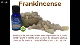 Frankincense - Pure Wildcrafted Essential Oil