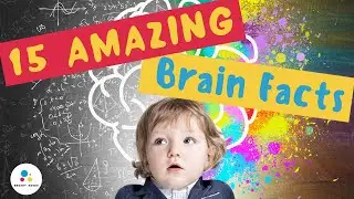 15 Amazing Brain Facts | Science For Kids | Educational Videos For Kids
