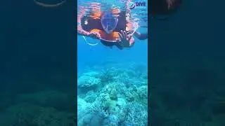 BEST SPOT FOR SNORKELING IN ANDAMAN ISLANDS IS AT TURTLE BEACH IN HAVELOCK ISLAND (SWARAJ DWEEP)