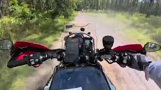 Spirited ride in the Goethe State Forest on a Ktm890 and a BMW f800gs.