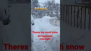 2010 Subaru Impreza covered in snow #shorts