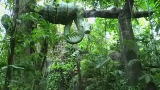 Zoo Safari World Thailand Bangkok.Attraction Jungle Cruise.
