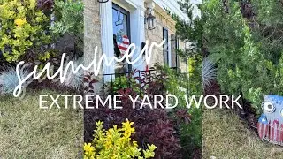 Extreme Summer 2023 Yard work |Front Yard ideas | Daphne's Outdoor Living