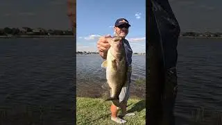 Check Out This Fat Bank Bass on a Windy Day #shorts