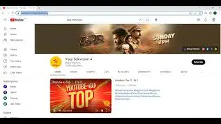 Vijay Television You tube Income