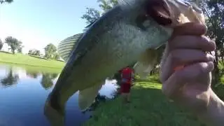 Private Location Fishing with Cbbassin