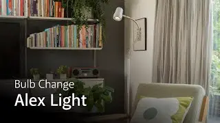 Alex | Bulb Change