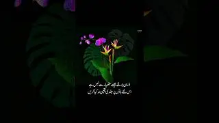 Best Uedu quotes about life #Shorts#ytshorts