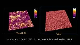 次世代AFM 「Vero」 干渉計搭載型 原子間力顕微鏡