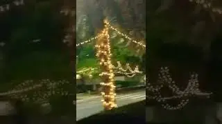 #amazing #beautiful Christmas lights outside #lovely #short