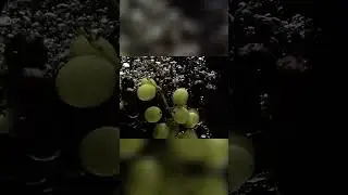Grapes Dropped in Water | Mesmerizing Visuals #asmr #fruit #fruits #grape  #satisfying #relaxing