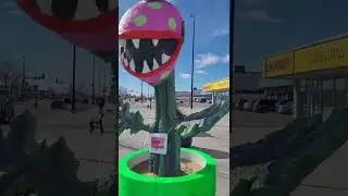 PLANT MONSTER OUT SIDE OF THE LEVEL UP STORE 2022