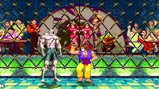 SAGAT VS KEGA FUSION!  INSANE FIGHT!