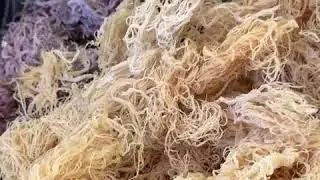Just because we wanted to show you some sea-moss!