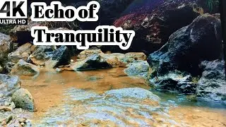 Binaural River Flow | River Under the Old Bridge Echoes of Tranquility