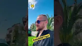 Как стать миллионером ни чего не делая #babybnbtiger #bnb #tiger #top #shorts #инвестиции #крипта