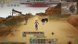 Dragonel - крысиная тактика (BDO)