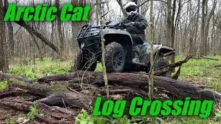 Arctic Cat 550 vs Alterra 550 | Log Crossing pt.5