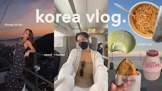 KOREA VLOG 💌 what I eat, train to busan, tourist attractions, airbnb tour, beach days