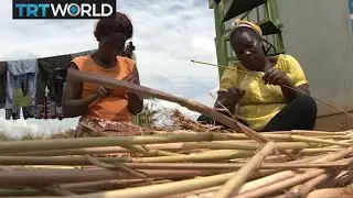 Grass Ecosolutions: Ugandan grows alternative to plastic straws