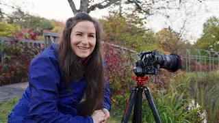 How To Compose a Landscape Photograph Using Elements in Nature