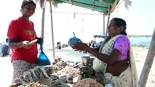 Dry fish market|Indian big dry fish market|Bapatal fish maket|Bapatal beach