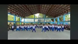 Palarong Pambansa (This video is not mine)
