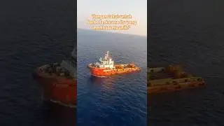 1 Juni 2024 #maritime #engineering #shipping #viral #share #capcut #fypシ #shortsvideo #kapallaut