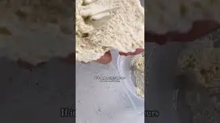 Lievito Madre 🇮🇹✨ Полный рецепт смотрите по ссылке в описании!