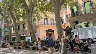 El URSO DEL PASSEIG DEL BORN
