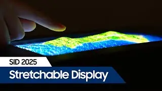 [SID 2025] 스트레처블 디스플레이 (Multi Axis Stretchable Display)
