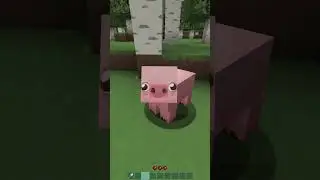Типы текстур-паков в Minecraft