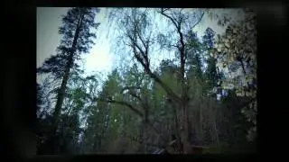 Junipine Resort Video.mp4