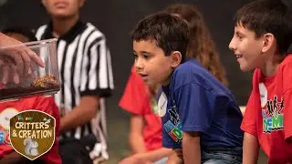 9 - &ldquo;Pugnacious Pacman Frog&rdquo; - 3ABN Kids Camp Critters & Creation