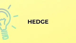 What is the meaning of the word HEDGE?