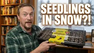 Greenhouse Chat: Seeds, Snow & Future Plans